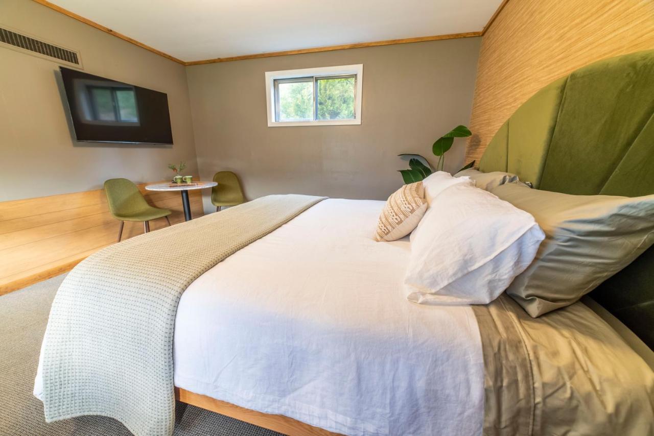 New Ashford The Springs Motel מראה חיצוני תמונה