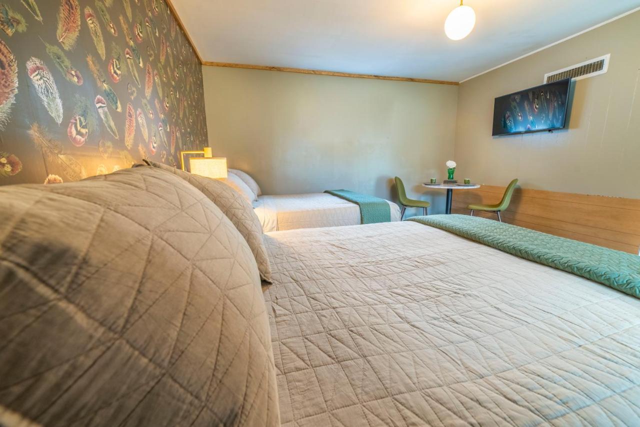 New Ashford The Springs Motel מראה חיצוני תמונה