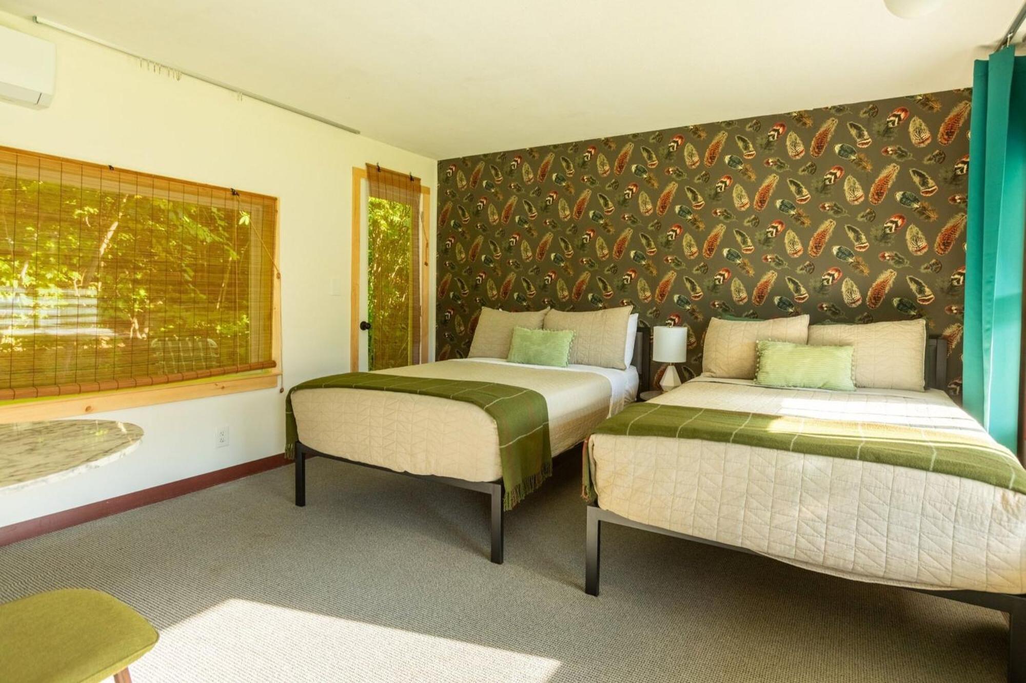 New Ashford The Springs Motel מראה חיצוני תמונה